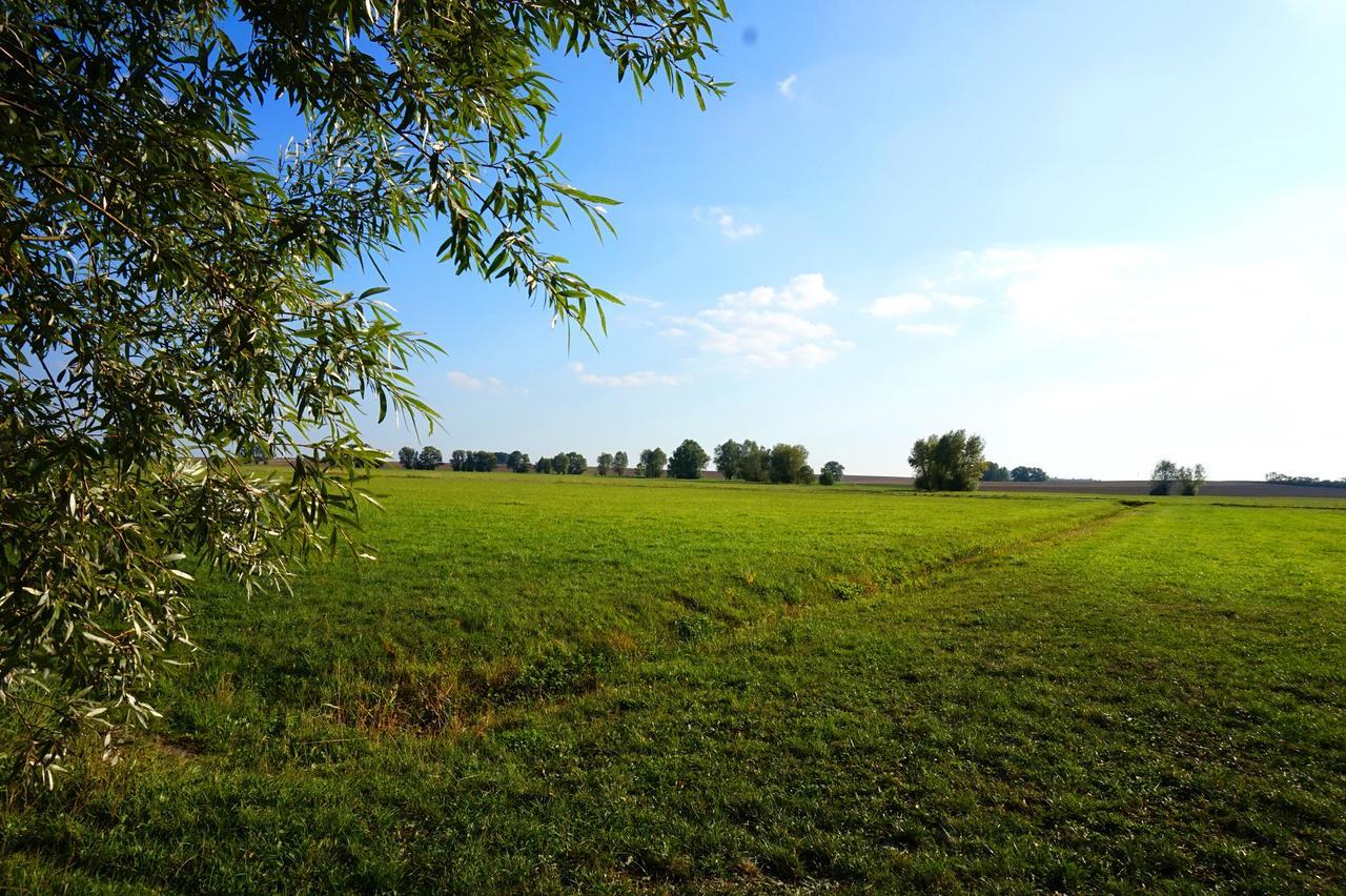 Gasthaus Zur Krone Windelsbach Exterior foto